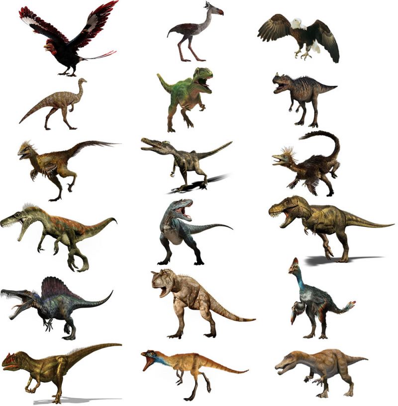 loài khủng long theropoda loài khủng long theropoda